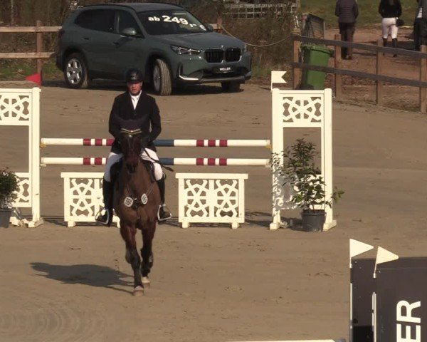 Reitturnier Scharnebeck 2025