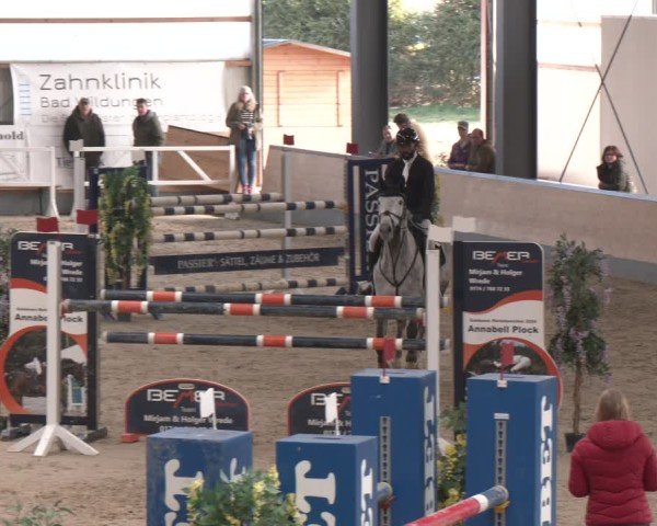 Reitturnier Borken (Hessen) 2025