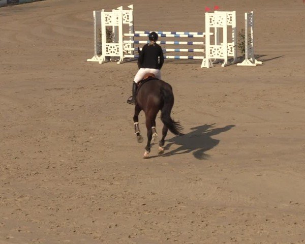 Reitturnier Scharnebeck 2025
