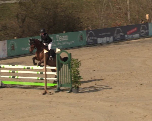 Reitturnier Scharnebeck 2025
