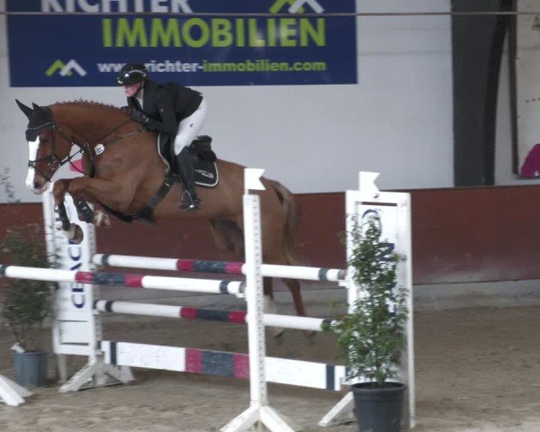 Reitturnier Viernheim 2025