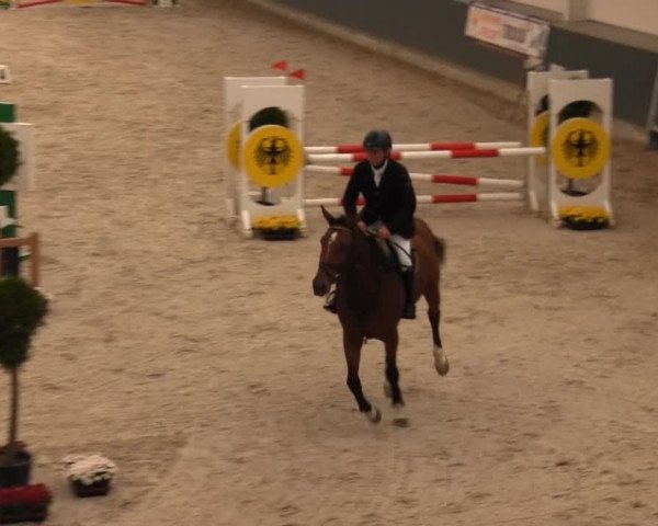 Reitturnier Mönchengladbach-Abtshof 2013