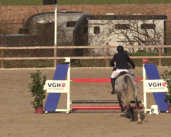 Reitturnier Scharnebeck 2025