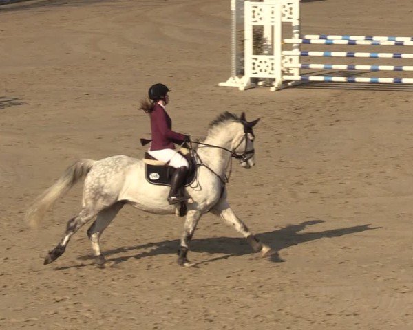 Reitturnier Scharnebeck 2025
