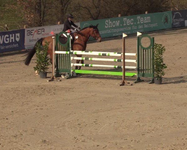 Reitturnier Scharnebeck 2025