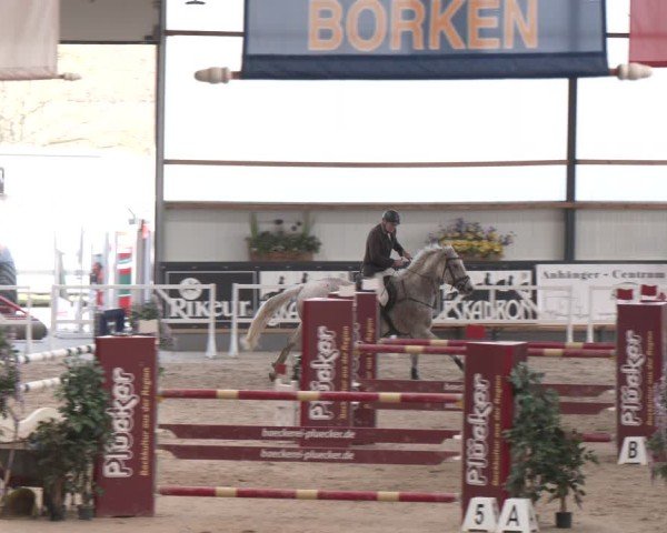 Reitturnier Borken (Hessen) 2025