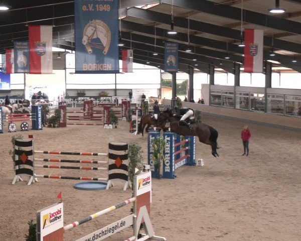Reitturnier Borken (Hessen) 2025