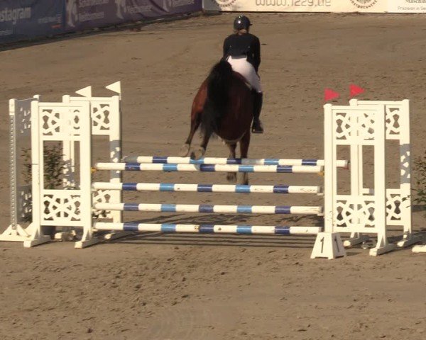 Reitturnier Scharnebeck 2025