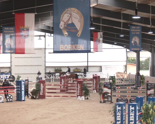 Reitturnier Borken (Hessen) 2025