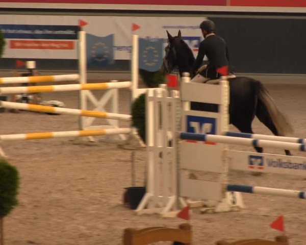 Reitturnier Mönchengladbach-Abtshof 2013