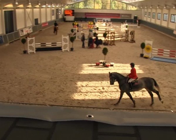 Springturnier auf dem Abtshof 2013
