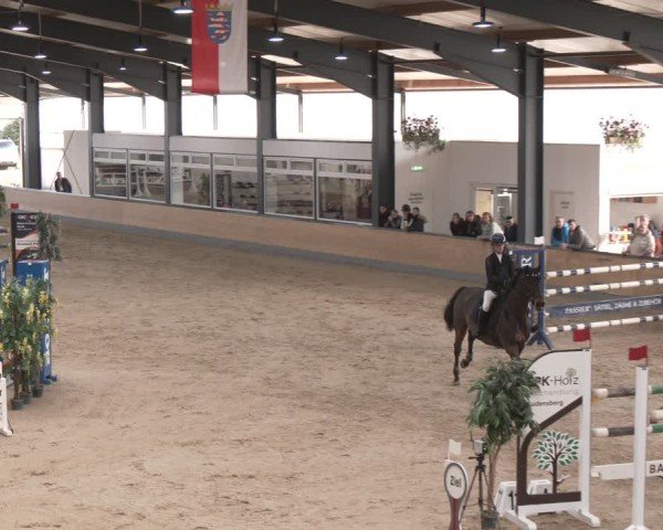 Reitturnier Borken (Hessen) 2025