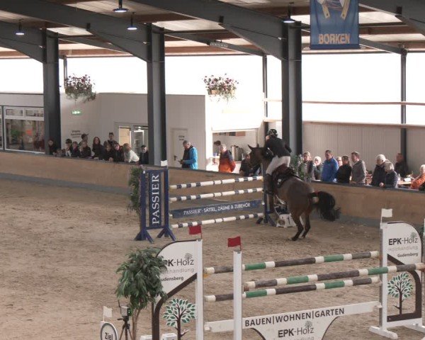 Reitturnier Borken (Hessen) 2025