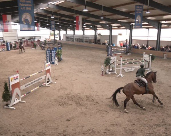 Reitturnier Borken (Hessen) 2025