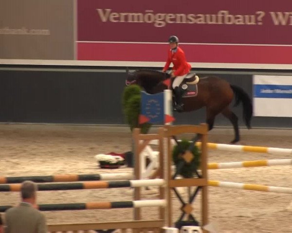 Reitturnier Mönchengladbach-Abtshof 2013