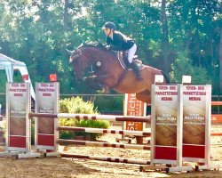 jumper ASG Kaylee (German Warmblood, 2016, from Kannan)