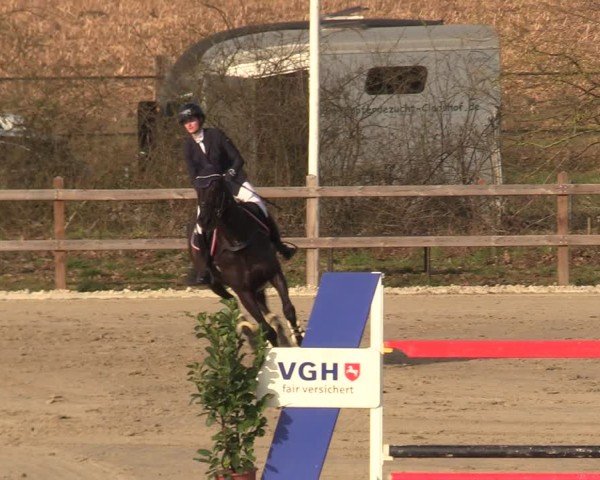 Reitturnier Scharnebeck 2025