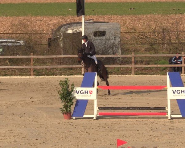 Reitturnier Scharnebeck 2025