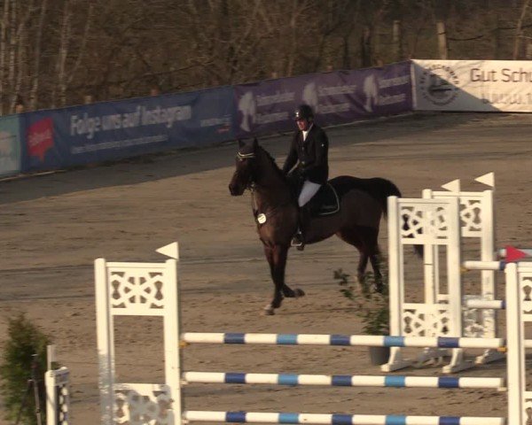 Reitturnier Scharnebeck 2025