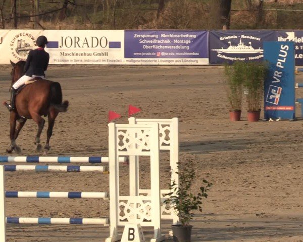 Reitturnier Scharnebeck 2025