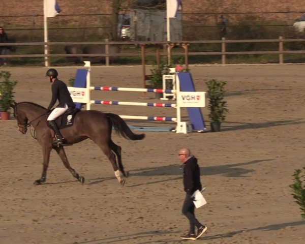 Reitturnier Scharnebeck 2025