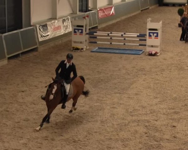 Springturnier auf dem Abtshof 2013
