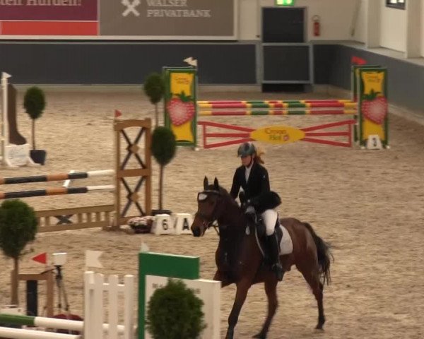Springturnier auf dem Abtshof 2013