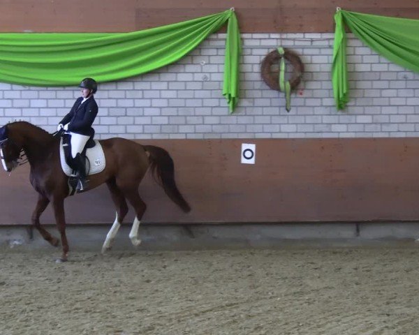 Reitturnier Hellefeld 2025