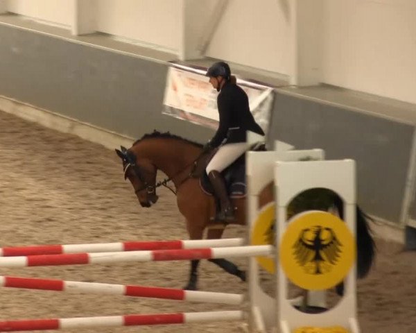 Springturnier auf dem Abtshof 2013