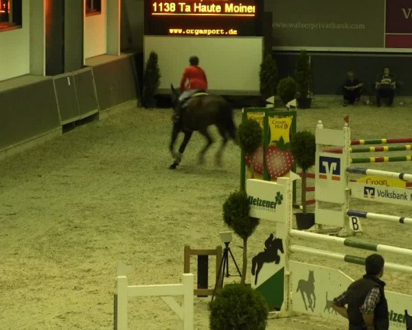Reitturnier Mönchengladbach-Abtshof 2013