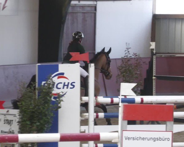 Reitturnier Viernheim 2025