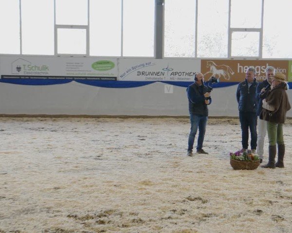 Hengstschau Hengststation Holkenbrink 2025