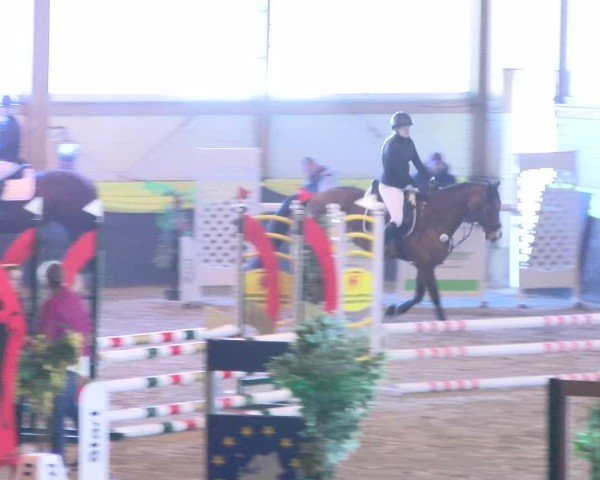 Reitturnier Boll 2025