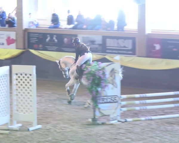 Reitturnier Boll 2025