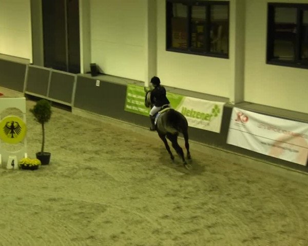 Springturnier auf dem Abtshof 2013