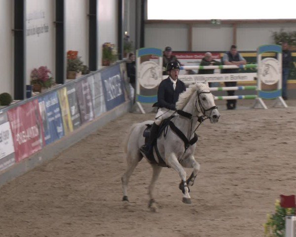 Reitturnier Borken (Hessen) 2025