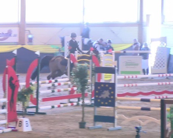Reitturnier Boll 2025