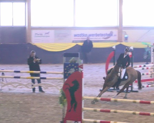 Reitturnier Boll 2025