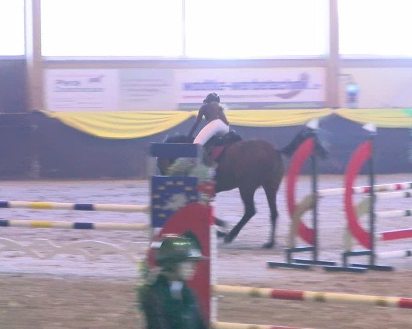 Reitturnier Boll 2025