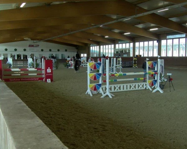 Reitturnier Coesfeld / Lette 2025