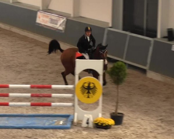 Springturnier auf dem Abtshof 2013
