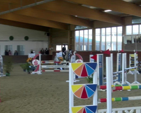 Reitturnier Coesfeld / Lette 2025