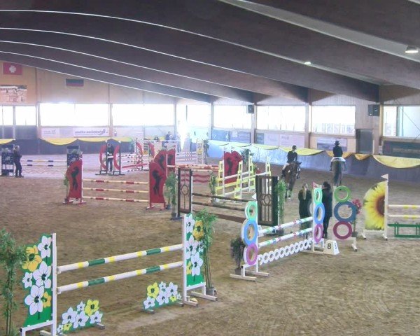Reitturnier Boll 2025