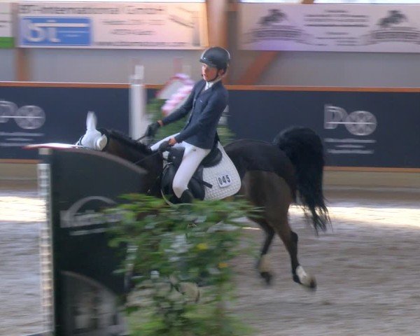 Reitturnier Asperden 2025