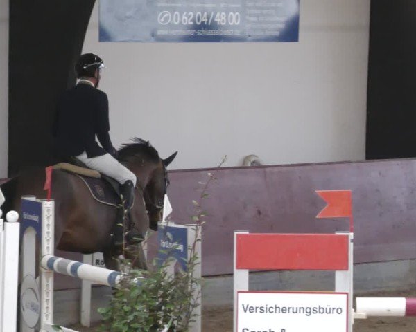 Reitturnier Viernheim 2025