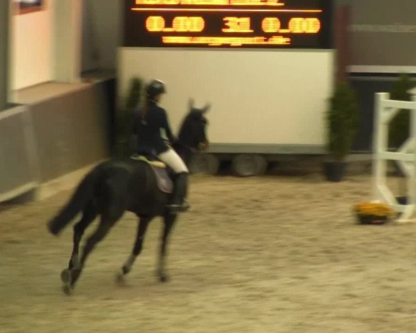 Springturnier auf dem Abtshof 2013
