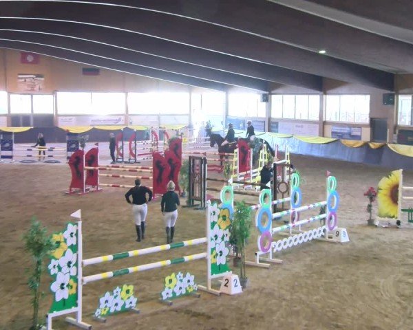 Reitturnier Boll 2025