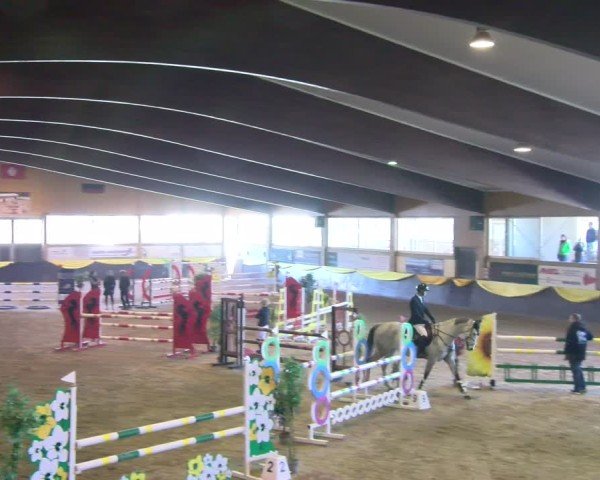 Reitturnier Boll 2025