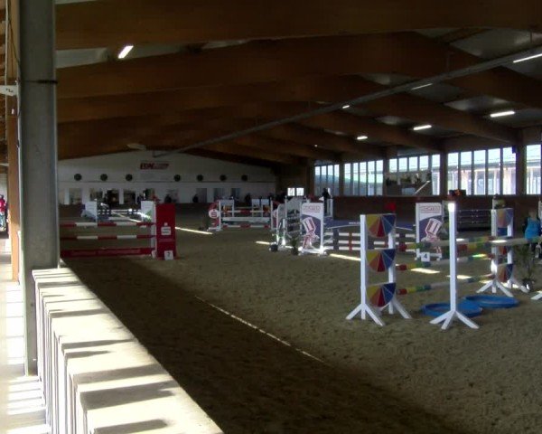 Reitturnier Coesfeld / Lette 2025