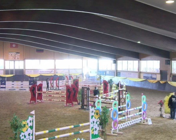 Reitturnier Boll 2025